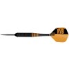 Šípky Target steel Raymond van Barneveld 24g, RVB, čierne, BRASS