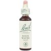 Rock Water - Voda z liečivých prameňov 20 ml - bachove kvapky