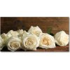 Foto obraz sklo tvrzené biele ruže 100x50 cm