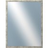 DANTIK - Zrkadlo v rámu, rozmer s rámom 70x90 cm z lišty TRITON strieborná (2143)