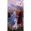 JERRY FABRICS Osuška Ľadové Kráľovstvo 2 Wind Bavlna - Froté, 70/140 cm