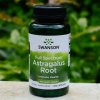 Swanson Astragalus Root Kozinec 450 mg 100 kapsúl