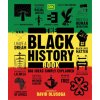 Black History Book (DK)(Pevná)
