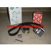 VW GOLF IV 8/97-6/05 komplet rozvody Sada 1,6 / 75kw / INA /