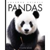 Pandas (Valerie Bodden)(Brožovaná)