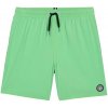 Plavky Volcom Lido Trunk Youth island green JR S 25/26 - Odosielame do 24 hodín
