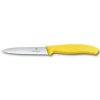 Victorinox 6.7736.L8 10 cm