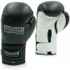 Boxerské rukavice Evolution RB-2210BL 10 oz