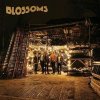 Blossoms - Blossoms / Vinyl / 2LP [2 LP]