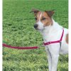 Easy Walk Harness Postroj proti ťahaniu ružový S