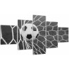 Futbalová lopta v sieti - obraz (Obraz 125x70cm)