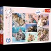 Puzzle V kočičím světě 100 dílků (Puzzle)
