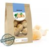 MycoMedica Hericium korálovec ježatý sušený 100 g