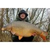 Mivardi Pop Up Boilies Rapid Reflex 14mm Scopex Smotana 70g