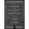 COMMENTARY ON THE NEW TESTAMENT