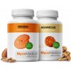 Alergo Balance set – Reishi & Agaricus Mycomedica