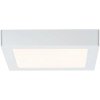 Paulmann | Paulmann 70645 - LED/12,5W Stropné svietidlo LUNAR 230V 22,5x22,5 cm biela | W4313