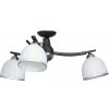 Luminex | Stropné svietidlo AVIA 3xE27/60W/230V | LU3859