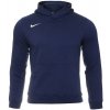 Nike Y NK FLC PARK20 PO HOODIE cw6896-451