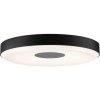 Paulmann | Paulmann 79518 - LED/23W Stmievateľné stropné svietidlo PURIC PANE 230V | W3875