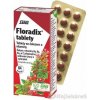 SALUS Floradix 84 tabliet