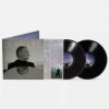 Gray David - Dear Life / Vinyl / 2LP [2 LP]