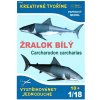 Bestr models Žralok biely (Carcharodon carcharias) 1:18