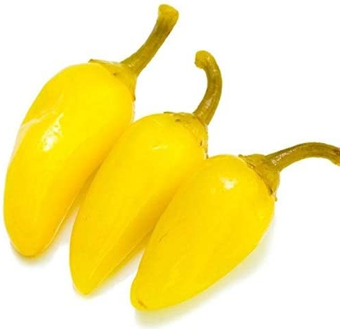 Jalapeno yellow (semená)