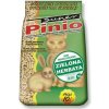 Benek Super Pinio zelený čaj 10 l