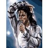 Norimpex Puzzle diamantová maľba Koncert Kráľa popu 30 x 40 cm
