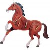 Woodcraft Drevené 3D puzzle Kôň farebný