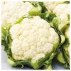 BIO Karfiol neskorý Tabiro - Brassica oleracea - bio semená karfiolu - 20 ks