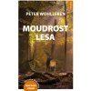 Moudrost lesa