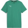 Puma | teamGOAL Casuals Tee Jr | zelená| 128