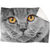 Deka Mačací pohľad (Rozmer: 200 x 140 cm, Podšitie baránkom: ÁNO)