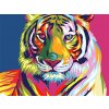 Amparo Miranda® Diamantový obrázok Farebný tiger