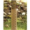 Ochrana GreenGarden TreeGUARD, 20x33,5 cm, na stromčeky