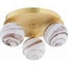 Argon | Argon 6290 - Stropné svietidlo FABIO 3xE14/7W/230V alabaster zlatá | AR6290