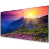 Obraz na akrylátovom skle Hory kvet lúka krajina 100x50 cm