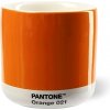 Pantone Latte termo Orange 210 ml