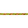 Beal polovičné lano Ice Line Unicore 8.1 mm, anis 60 m
