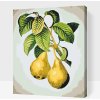 Vymalujsisam.sk Maľovanie podľa čísiel - Zrelé hrušky Veľkosť: 30x40cm, Rám: Na kartónovej doske