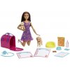 Hracia sada Mattel Barbie: Pup Adoption, HKD86