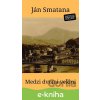 Medzi dvomi vekmi