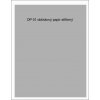 AEROTEAM Dekálový papier so strieborným povrchom 180x280mm