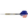 Sada šípok TARGET steel Raymond van Barneveld SP Black 21g, 80% wolfram