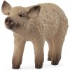 SCHLEICH Farm World Malé prasiatko Mangalica, domáce prasa 14893
