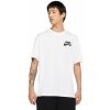 Nike SB Logo Skate 23 white black