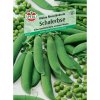Sperli Hrách setý Malé Porýní (Pisum sativum)