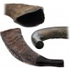 Authentic - Prírodný Byvolí roh (Buffalo) - Tuwa - Shofar - 43 cm